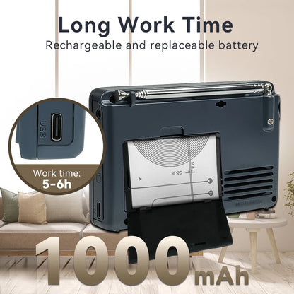 V115 Radio FM AM SW Portable Radios Rechargeable Radio Batteries Multiple Bands USB Recorder Speaker for Elders TX32